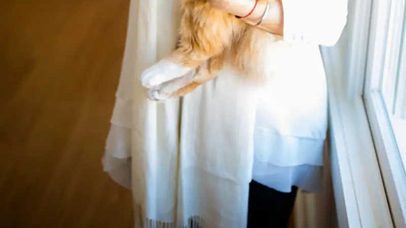 Daily Mews Cat Cafe preview