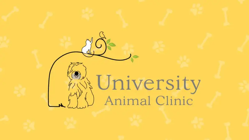 University Animal Clinic preview
