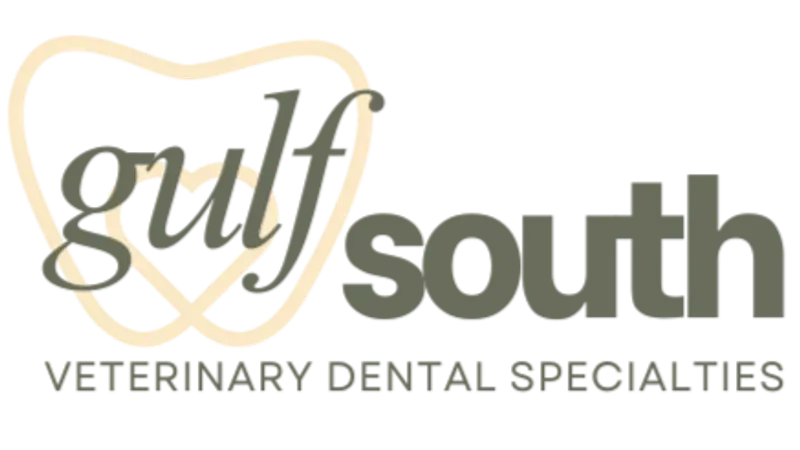 Gulf South Veterinary Dental Specialties preview