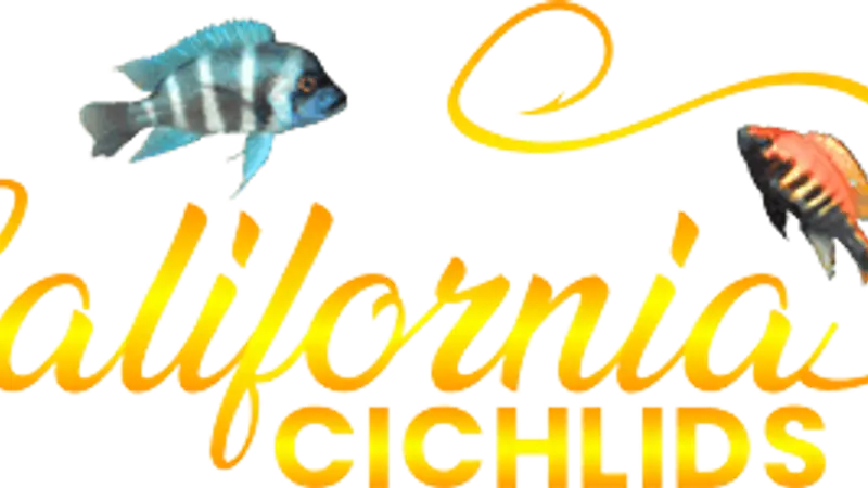 CaliforniaCichlids.com preview