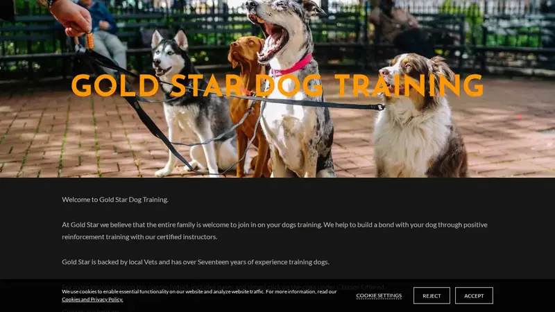 Gold Star Dog Training preview