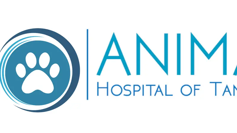 Animal Hospital of Tampa preview