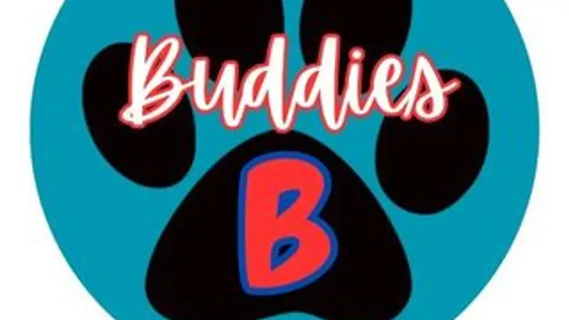 Buddies preview
