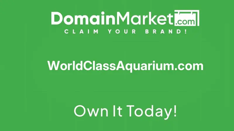 Aquarium Wholesale preview