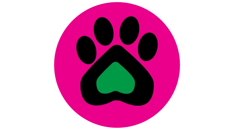 Emily's Dog Jogger preview