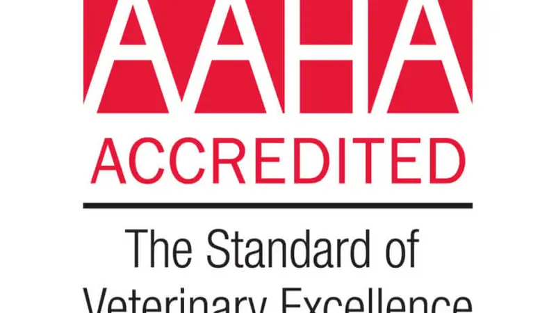 Kingsland Boulevard Animal Clinic preview