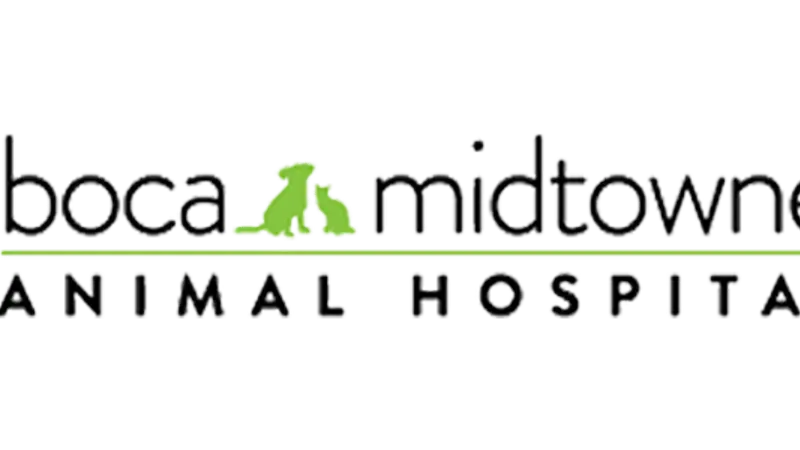 Boca Midtowne Animal Hospital preview