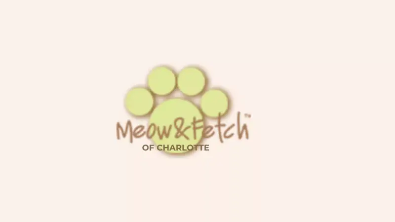 Meow & Fetch preview