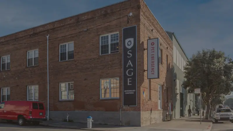 SAGE Veterinary Centers - San Francisco preview