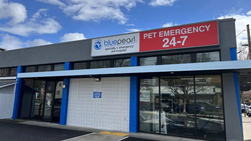 BluePearl Pet Hospital preview