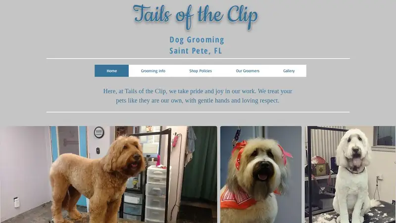 Tails of the Clip preview