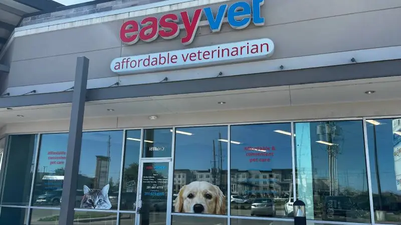 EasyVet Veterinarian Katy preview