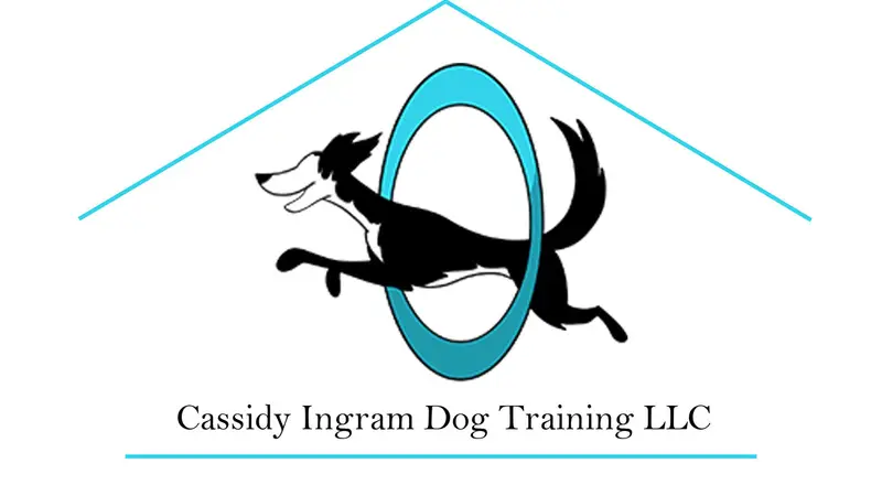 Cassidy Ingram Dog Training LLC preview