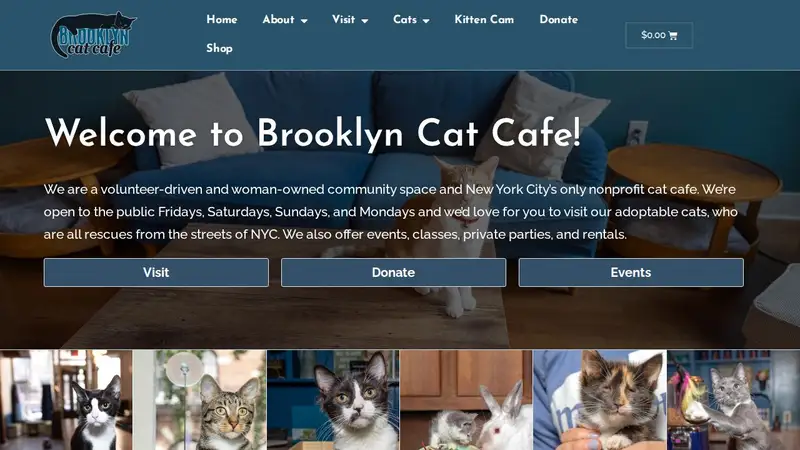 The Brooklyn Cat Cafe preview