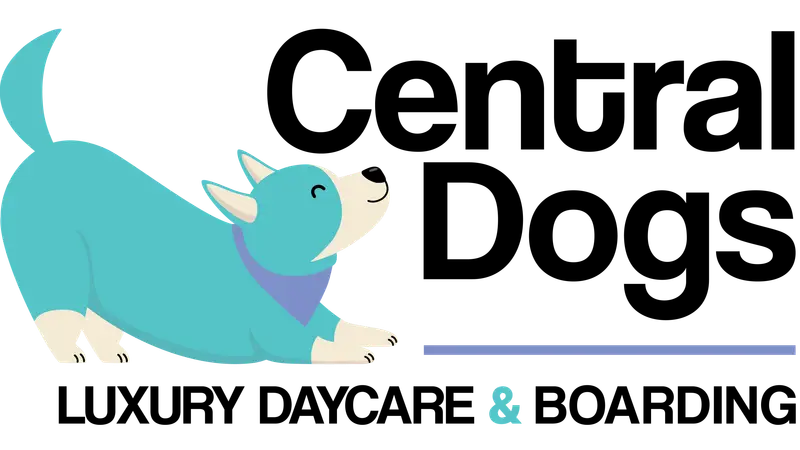 Central Dogs preview