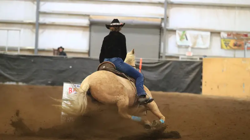 Threecans Barrel Horses preview