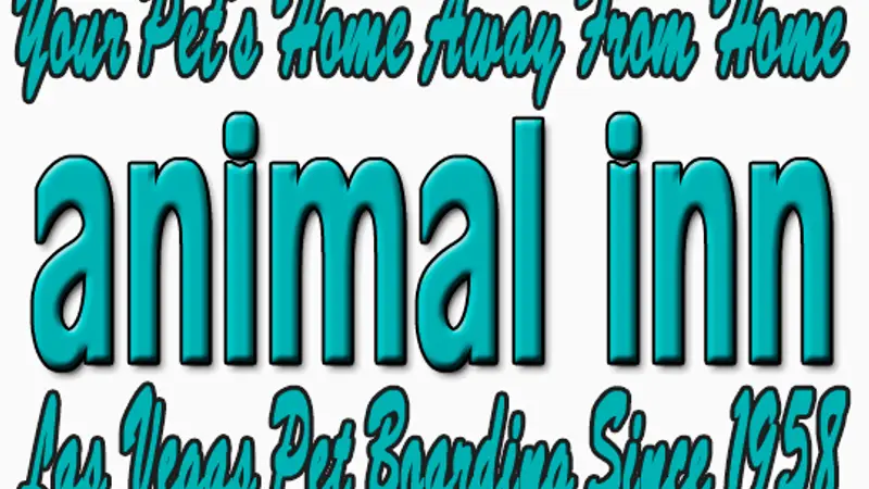The Animal Inn Pet Boarding Kennel preview