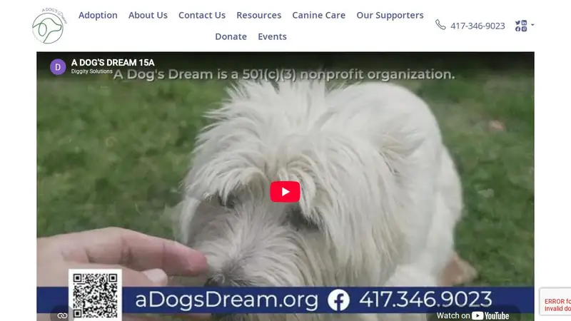 ADogsDreamNY preview