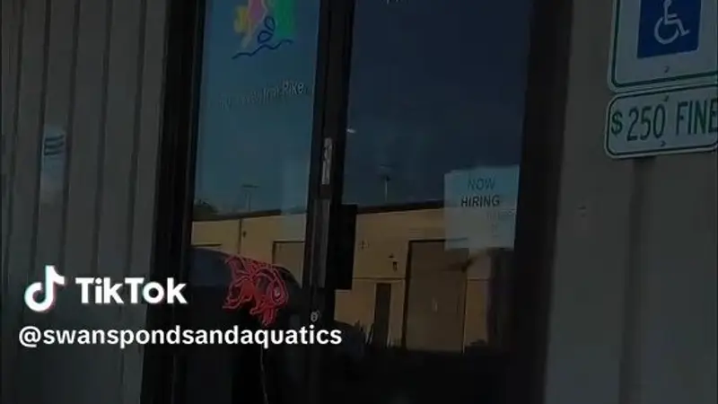 Swans Ponds and Aquatics, LLC preview