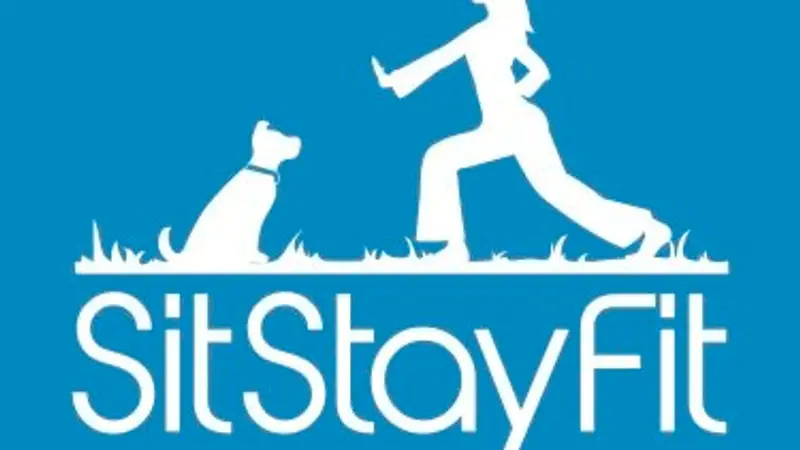 Sit Stay Fit preview