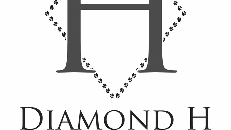 Diamond H Grooming preview