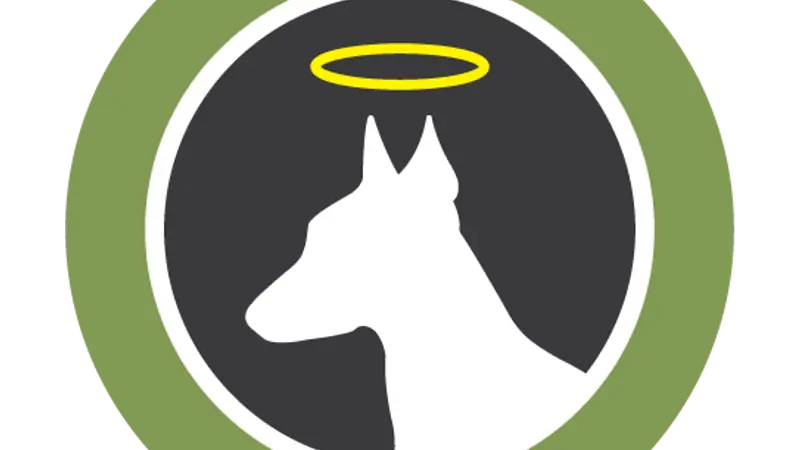 Dogboy Inc. preview