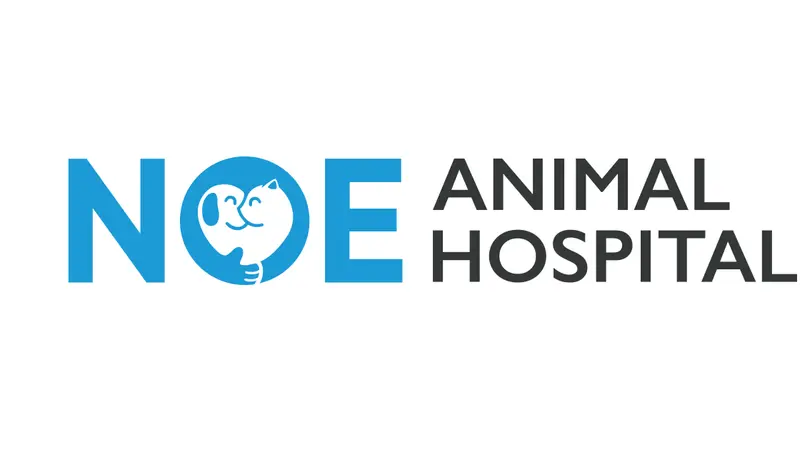 Noe Animal Hospital preview