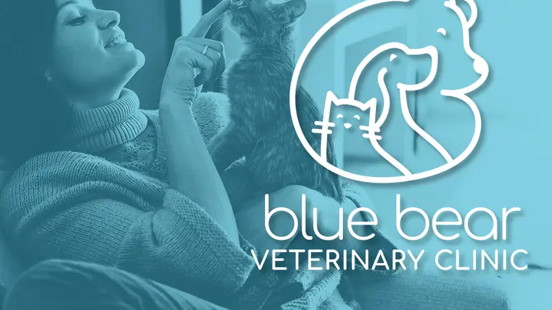 Blue Bear Veterinary Clinic preview