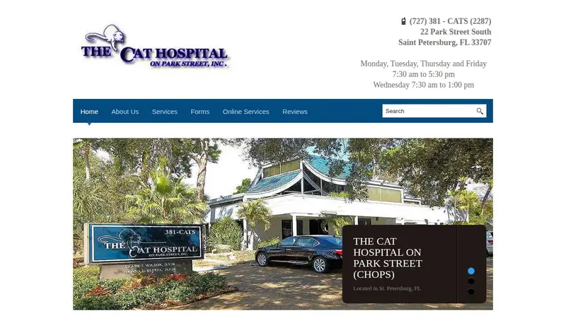 Cat Hospital On Park Street preview