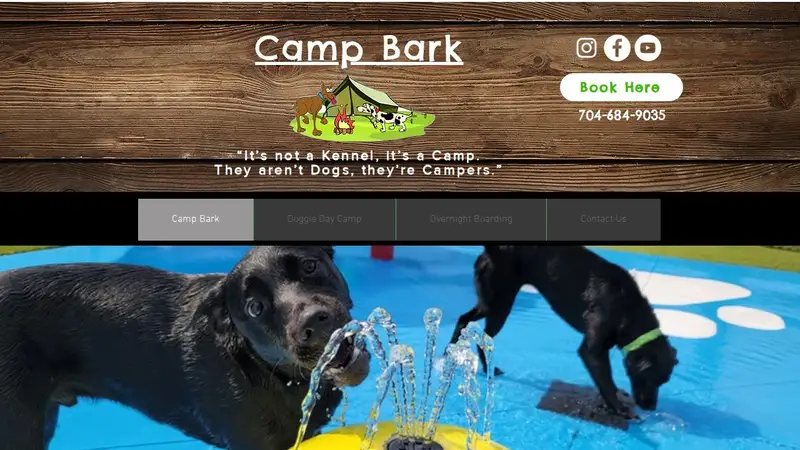 Camp Bark preview