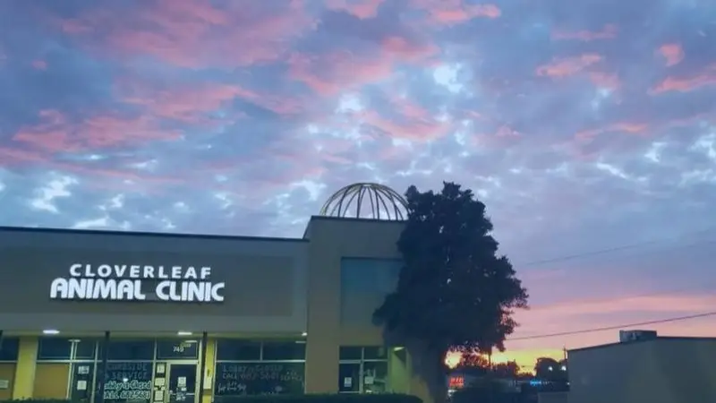 Cloverleaf Animal Clinic preview