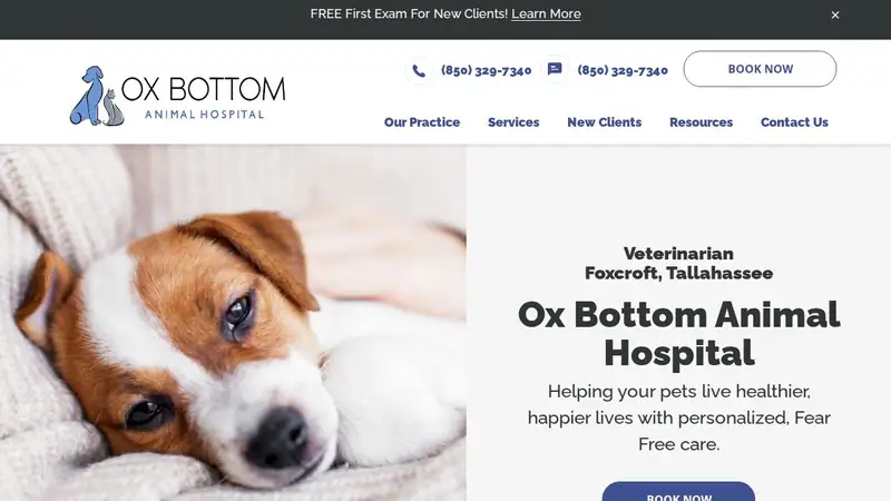 Ox Bottom Animal Hospital preview