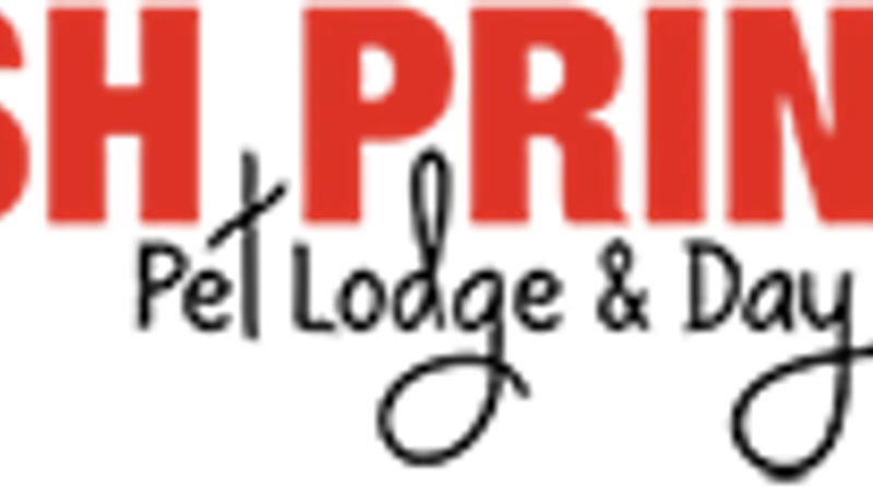 Fresh Prints Pet Lodge and Day Resort preview