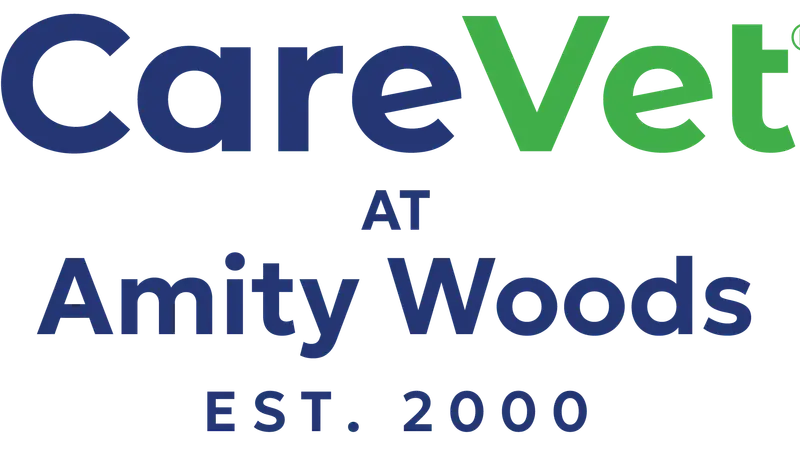 CareVet at Amity Woods preview