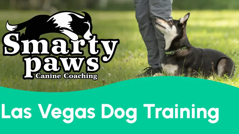 Smarty Paws Canine Coaching preview