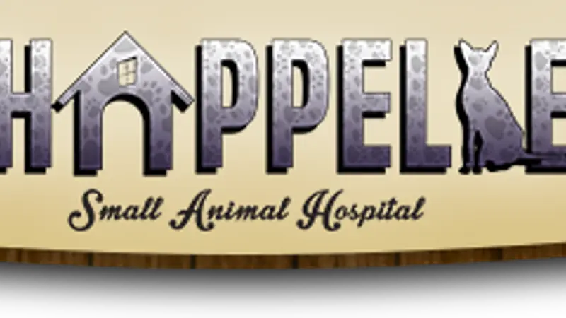 Chappelle Small Animal Hospital preview
