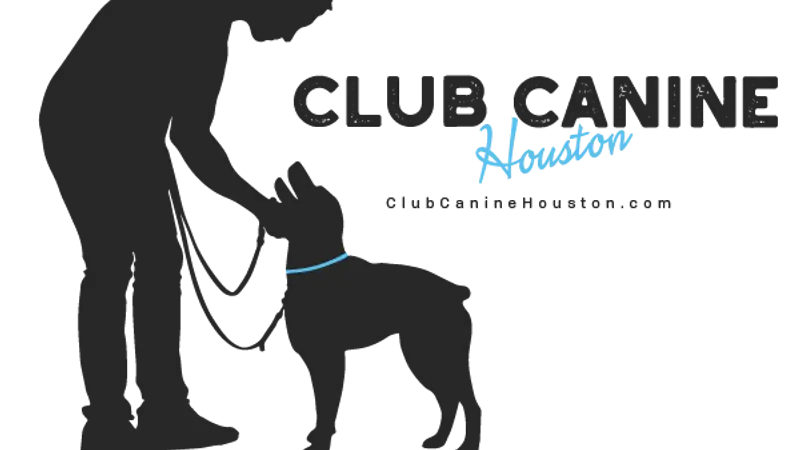 Club Canine preview