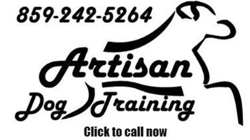 artisan dog training preview