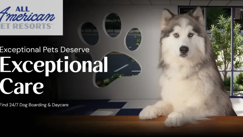 All American Pet Resorts Fort Myers preview