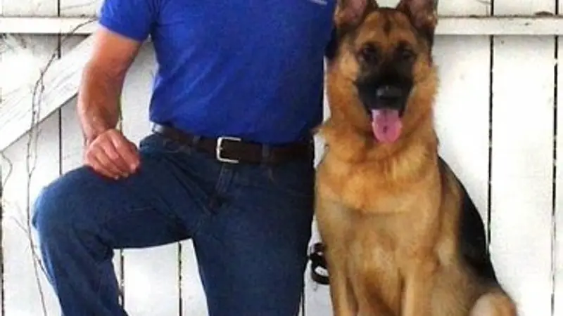 On Command K9 Academy preview