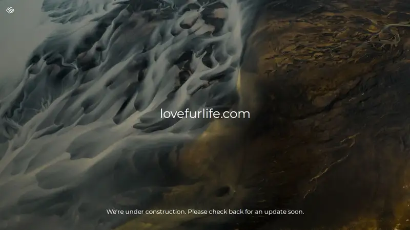 Love Fur Life Pet Sitting preview