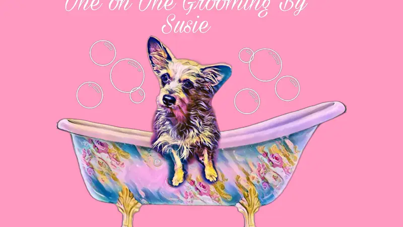 One On One Grooming By Susie preview