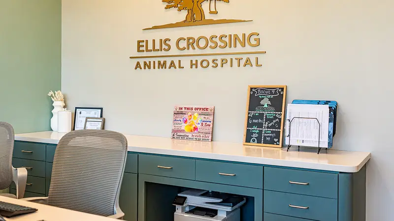 Ellis Crossing Animal Hospital preview
