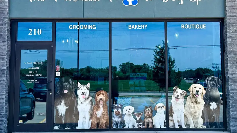 The Painted Paw Dog Spa preview