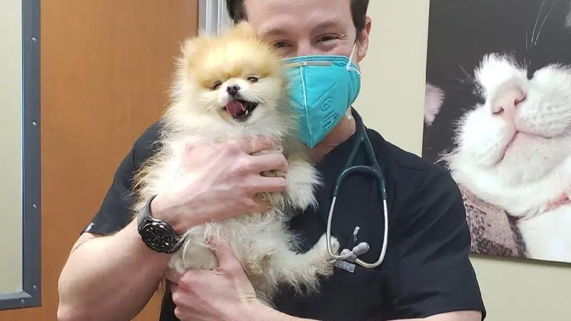 Foothill Farms Veterinary Hospital preview