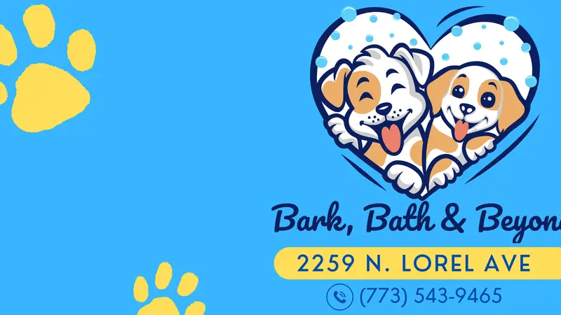 Bark bath & beyond preview