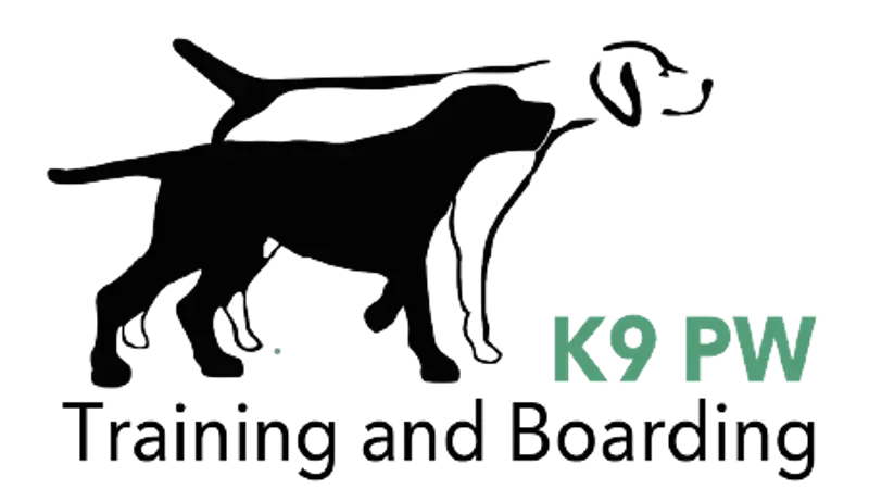 K9 PW Training and Boarding preview
