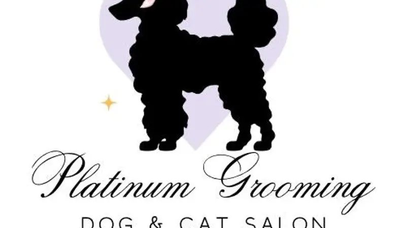 Platinum Grooming preview