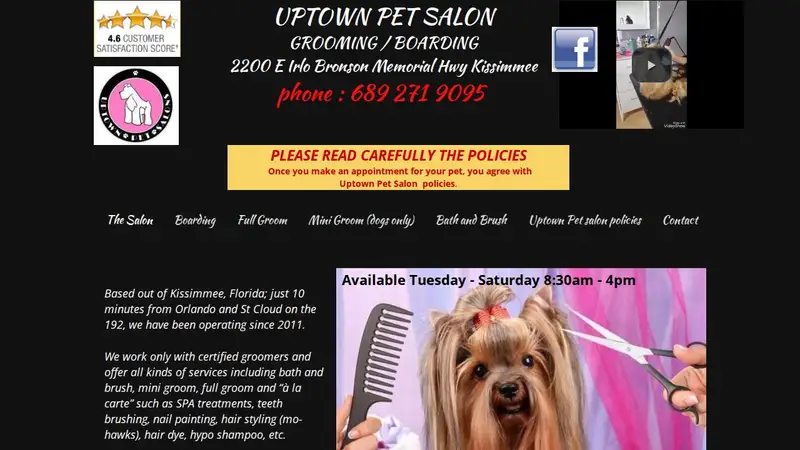 Uptown Pet Salon & Daycare preview