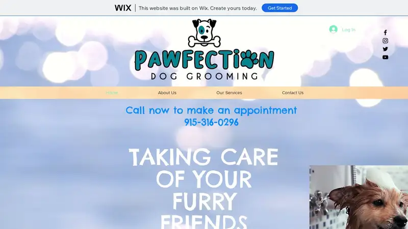 Pawfection Dog Grooming preview